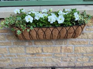 Window basket- click for photo gallery